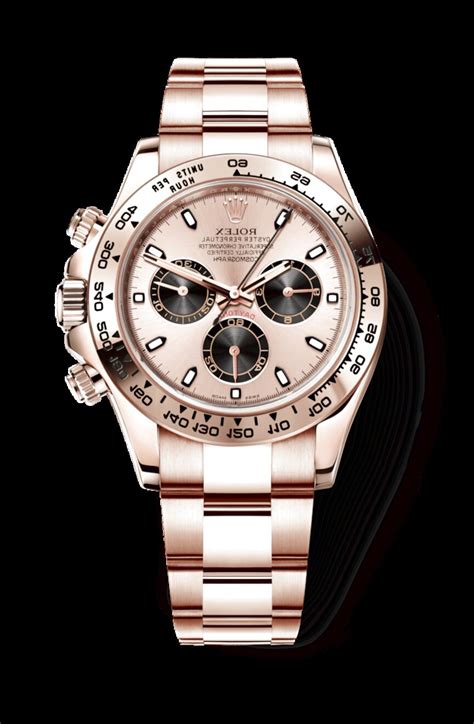 rolex daytona oro rosa indossato